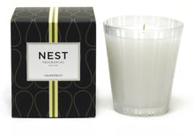 Load image into Gallery viewer, Nest New York Grapefruit Classic Candle