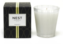 Load image into Gallery viewer, Nest New York Grapefruit Classic Candle
